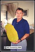 jackfruit